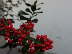-老门东历史文化街区