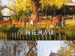 -乌镇景区