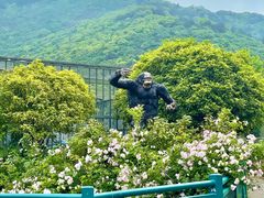 -无锡动物园·太湖欢乐园