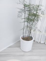 -HEYAN荷妍专业脱毛连锁机构