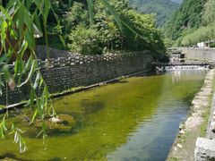 -牛背梁国家森林公园