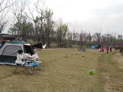 -白鹭湾湿地公园