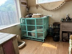 -小时光咖啡馆(开森度假森林店)