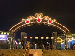 -武汉知音号