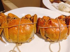 大闸蟹-杭州钱江新城万怡酒店-西餐厅