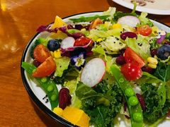 布拉格城堡花园沙拉-布拉格餐厅· 中欧捷克菜(全国首店)