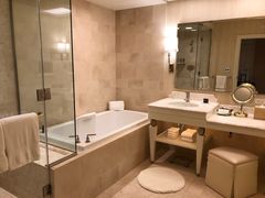 -拉斯维加斯永利酒店