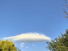 -西昌邛海湿地