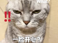 -H立方实景剧情密室(天河旗舰店)