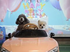 -百好乐宠物友好餐厅(朝外大街店)