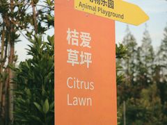 -前小桔亲子创意农场·草莓采摘·露营烧烤