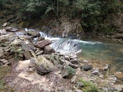 -九龙江国家森林公园