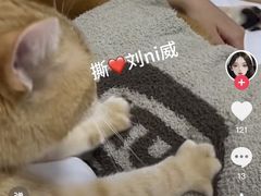 -北国商城