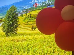 -杨厨的田园饭店(长城路店)