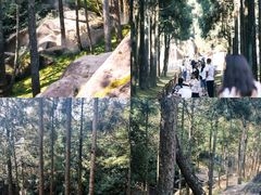 -玉苍山国家森林公园