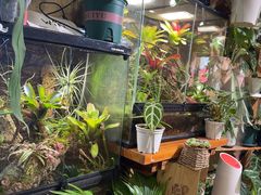 -Rabbit Cafe私房西餐甜点咖啡(栖霞路店)