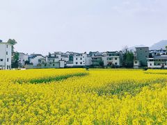 -新安江山水画廊风景区