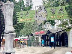 -温州乐园
