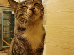 -酒友老火锅(渝中店)