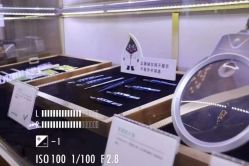 点击看大图 -新生植发·植养护一体