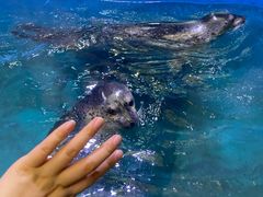 -青岛海底世界-水族馆