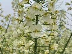 -中国天府农业博览园