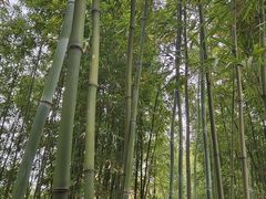 -柳侯公园