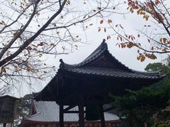 -醍醐寺