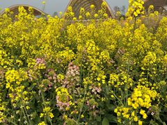 -中国天府农业博览园