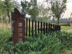 -东郊湿地公园