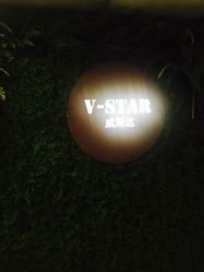 点击看大图 -V-STAR威斯达•高级私人定制