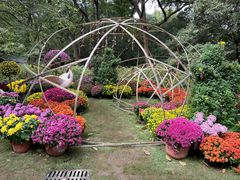 -杭州植物园