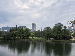 -四海公园(南山区)