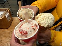 -Patagonia Chocolates(皇后镇店)
