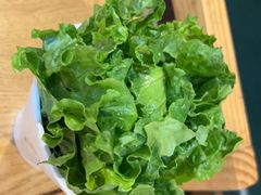 -陈记顺和牛肉火锅馆(林乐路店)