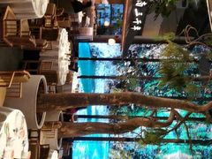 -桂满陇·海市蜃楼·黑金(国金店)