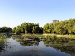 -望湖公园