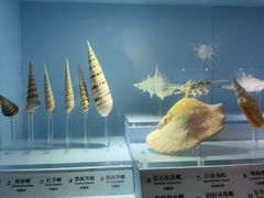 -温州博物馆