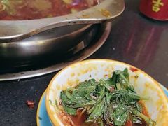 -金鼎雪山牦牛杂火锅(理县总店)