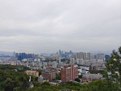 -福道