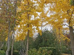 -南宫五洲植物乐园