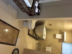 圣爵菲斯大酒店-圣爵菲斯大酒店(长沙世界之窗店)