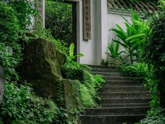 -广州兰圃