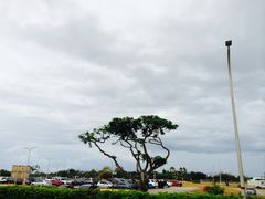 -塞班岛国际机场