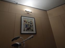 -娇莉芙美颜SPA连锁