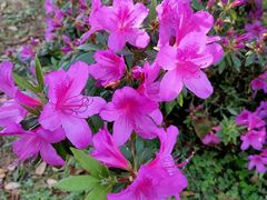 -昆明市金殿名胜区