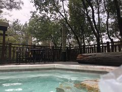 -天目湖涵田半山温泉