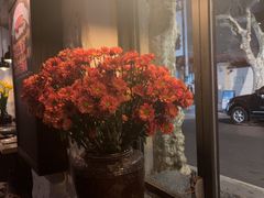 -Apollo·西班牙小酒馆(安福路店)