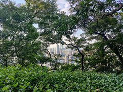 -小南山公园