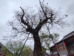 -青州古城